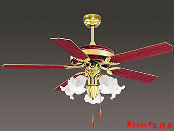 Ceiling Fan, Magnificent,Noble, with Lighting.