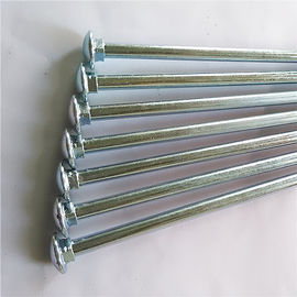 3/8*10" Carriage Bolt,Zinc plating, Rohs