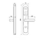 Fingerprint Intelligent door lock digital door lock keyless touch lock Biological fingerprint lock