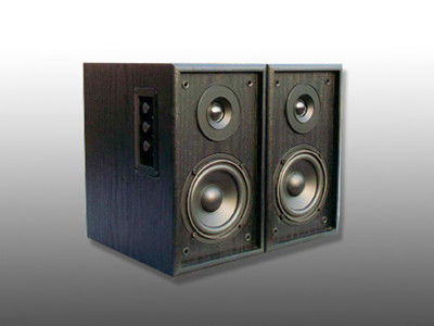 HiFi Speaker,Suitable to be connected to multimedia computer,CD,DVD,ideal for classroom